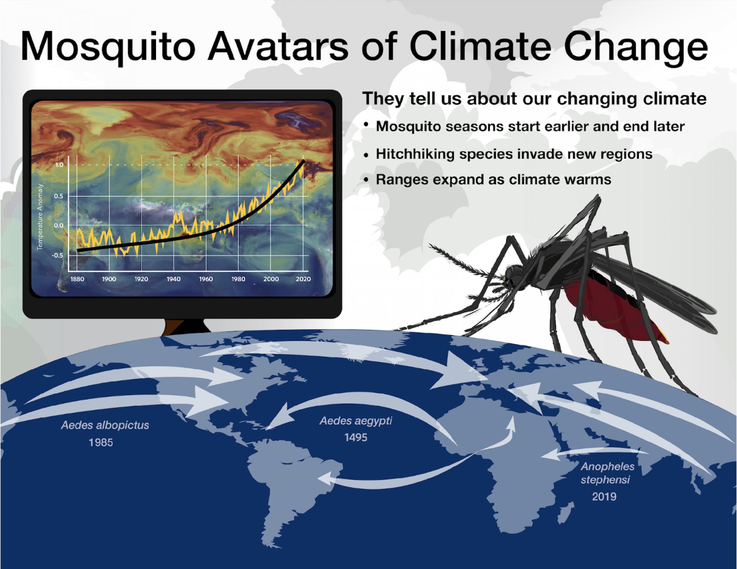 Graphic from presentation showing the connection between mosquitoes and climate change
